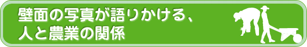 壁面の写真が語りかける、人と農業の関係