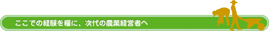 大人にもためになる学習施設