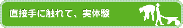 直接手に触れて、実体験