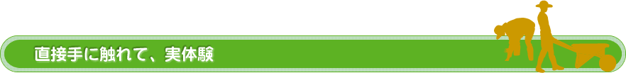 直接手に触れて、実体験