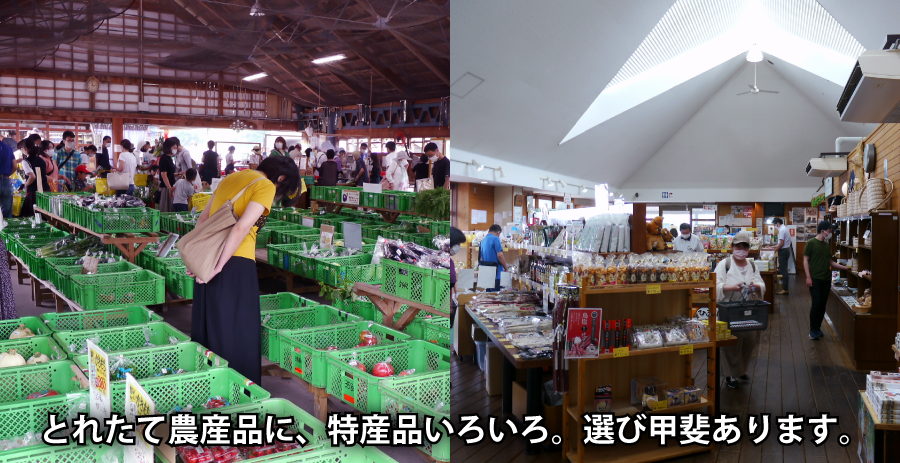 道の駅　風の家