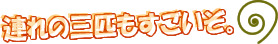 連れの3匹もすごいぞ