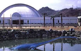 世界で唯一のカブトガニの博物館(岡山県笠岡市)