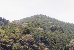臥牛山の山容
